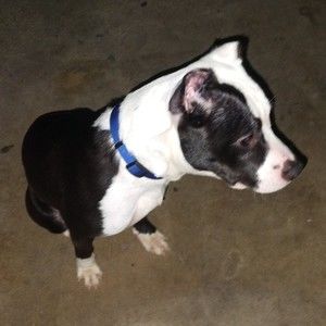 Meet your Posher, Jae